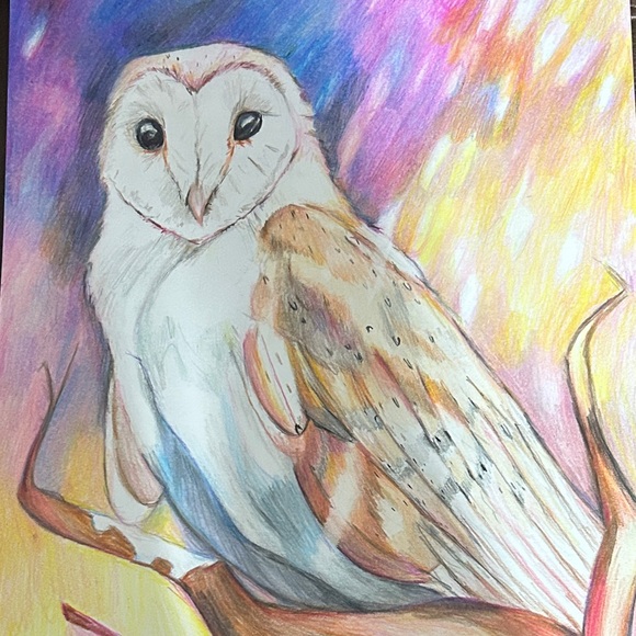Colorful Owl Art Print